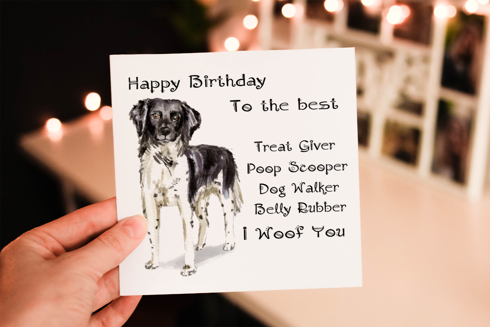 Stabyhoun Dog Birthday Card, Dog Birthday Card